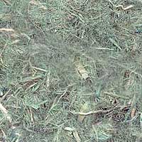 Wood Fiber Mulch